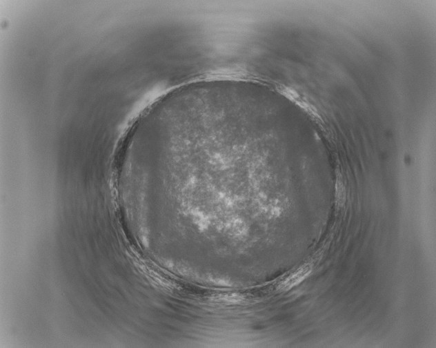 X0000059101454200510211620