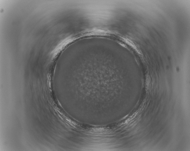 X0000059101455200510211620