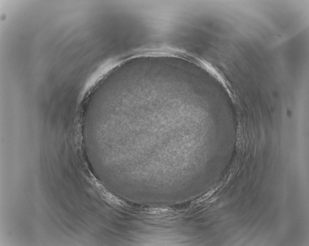 X0000059101456200510211620