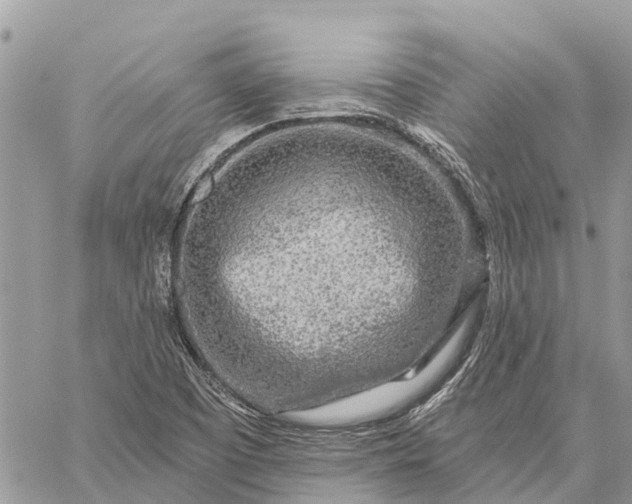 X0000059101457200510211620