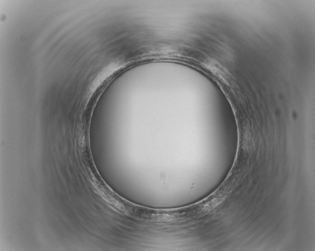 X0000059101458200510211620