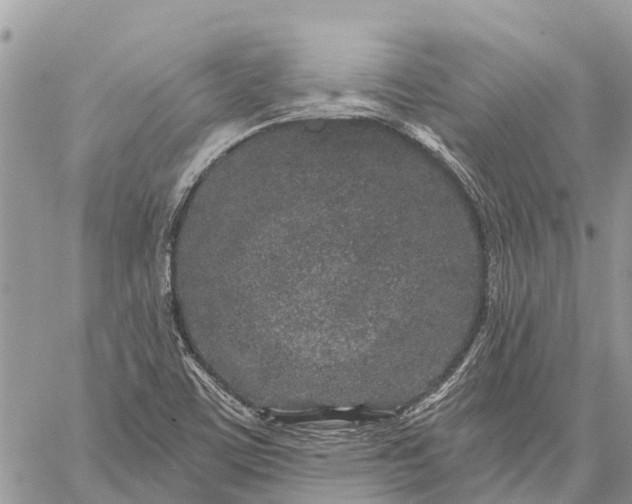 X0000059101459200510211620