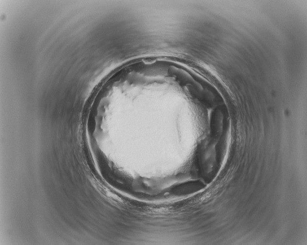 X0000059101460200510211620