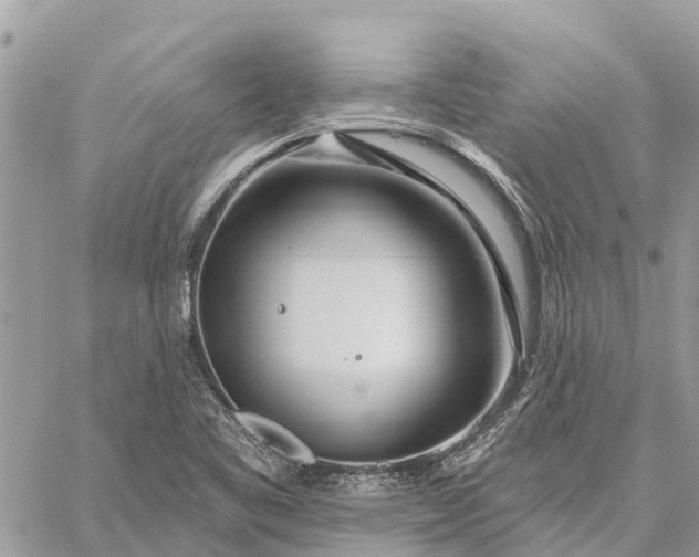 X0000059101461200510211620