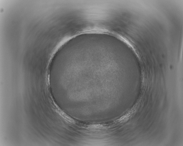 X0000059101462200510211620