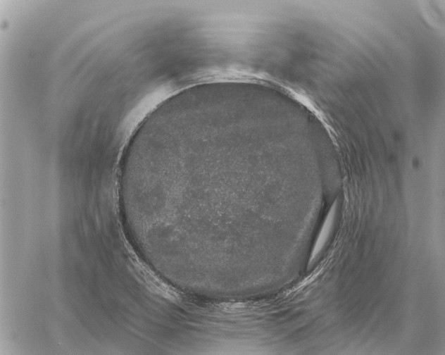 X0000059101463200510211620