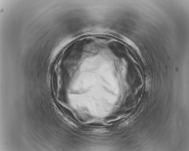 X0000059101464200510211620