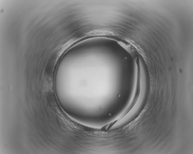 X0000059101465200510211620