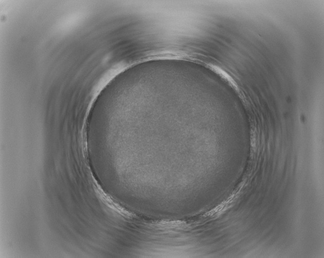 X0000059101466200510211620