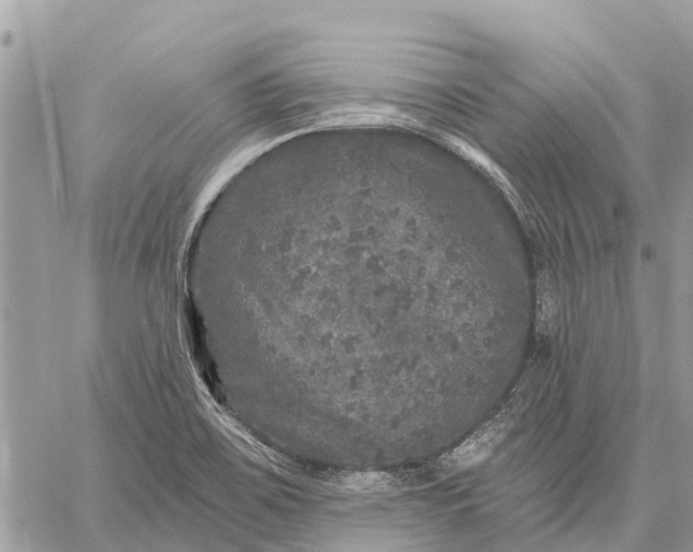 X0000059101467200510211620