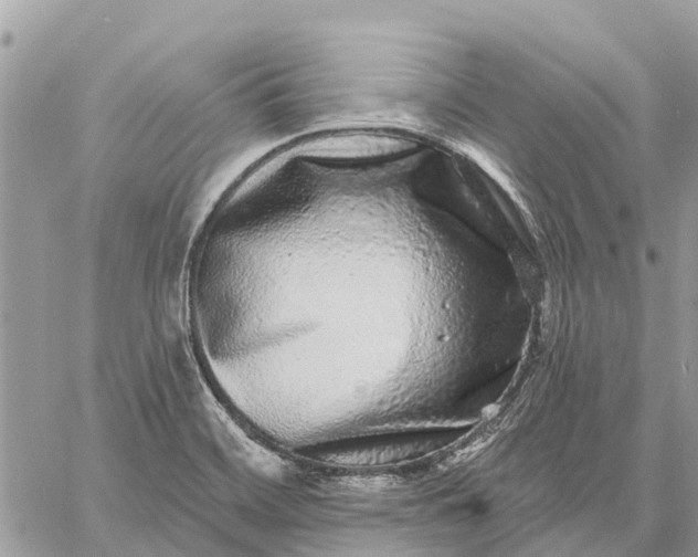 X0000059101468200510211620