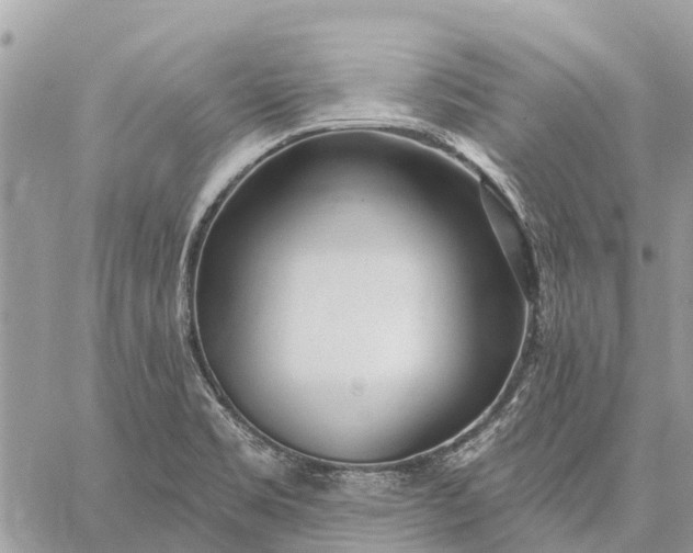 X0000059101469200510211620