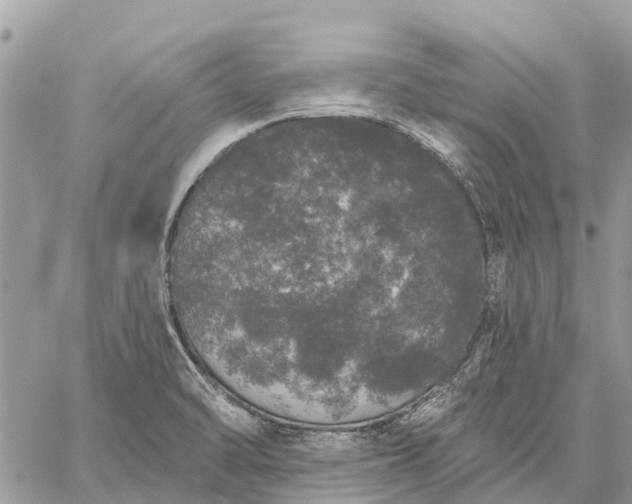 X0000059101470200510211620