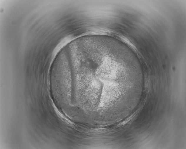 X0000059101471200510211620