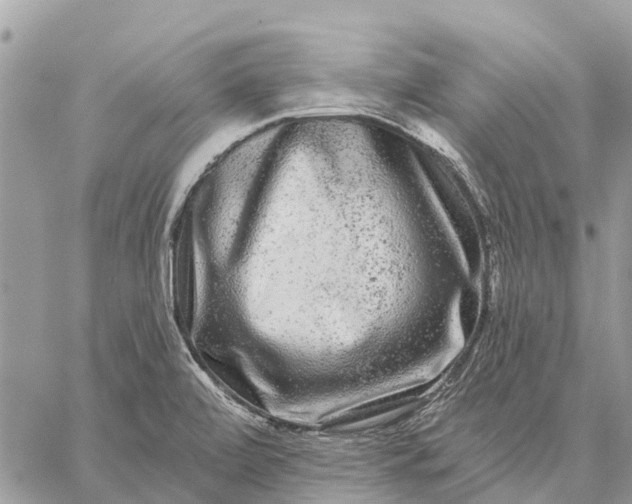 X0000059101472200510211620