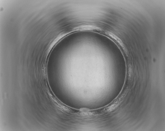 X0000059101473200510211620