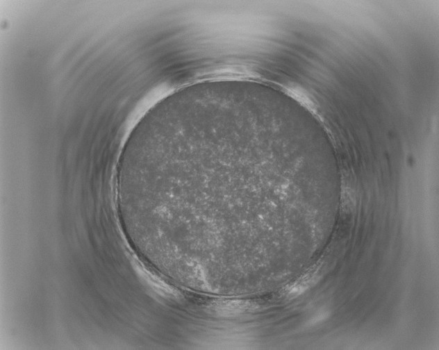 X0000059101474200510211620