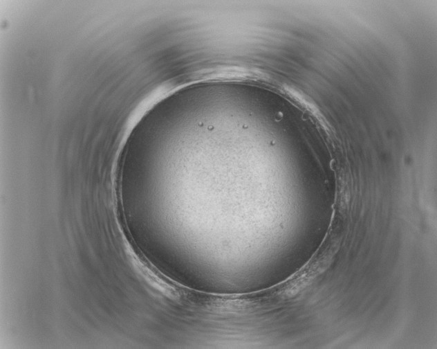 X0000059101475200510211620