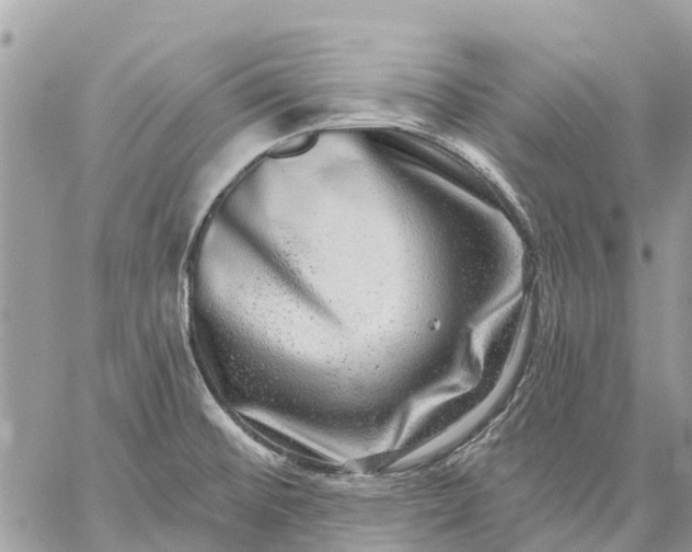 X0000059101476200510211620