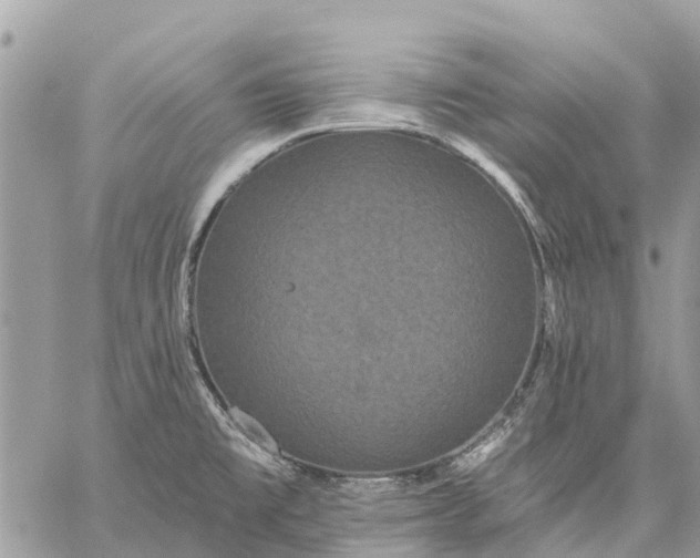 X0000059101477200510211620