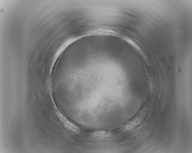 X0000059101478200510211620