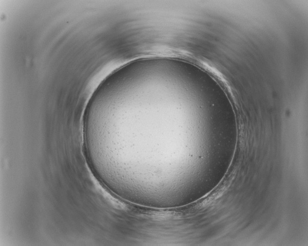 X0000059101479200510211620