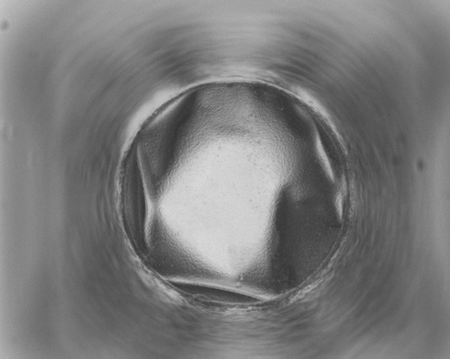 X0000059101480200510211620