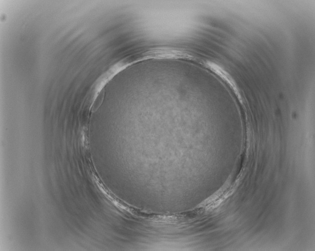 X0000059101481200510211620