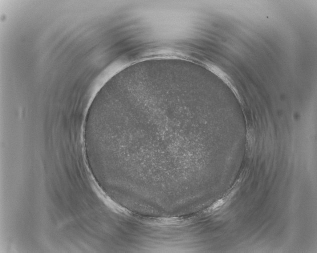 X0000059101482200510211620