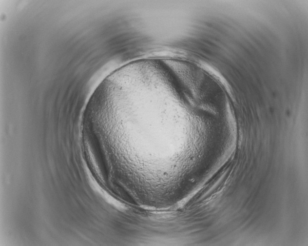 X0000059101483200510211620