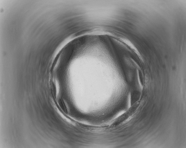 X0000059101484200510211620