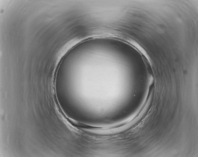 X0000059101485200510211620