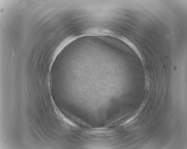 X0000059101486200510211620