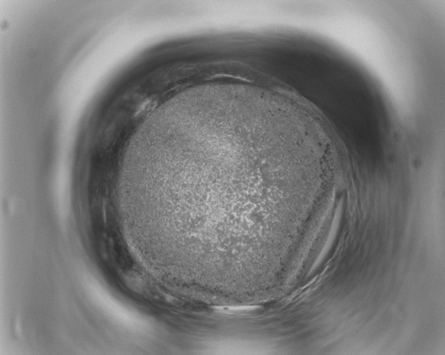 X0000059101487200510211620