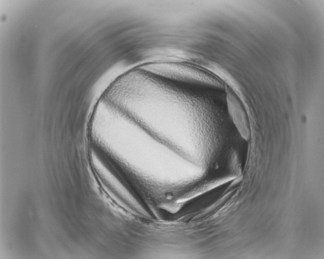 X0000059101488200510211620