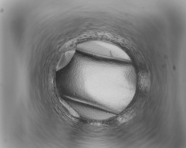 X0000059101489200510211619