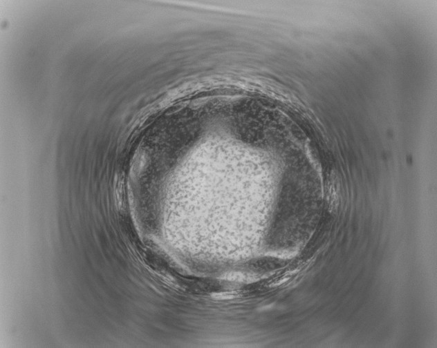 X0000059101490200510211619