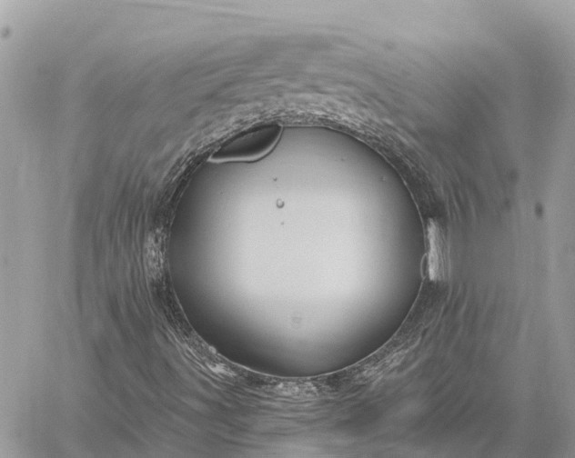 X0000059101491200510211619