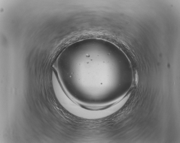 X0000059101492200510211619