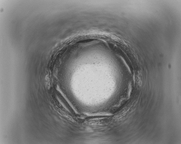 X0000059101493200510211619