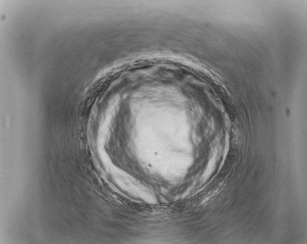 X0000059101494200510211619