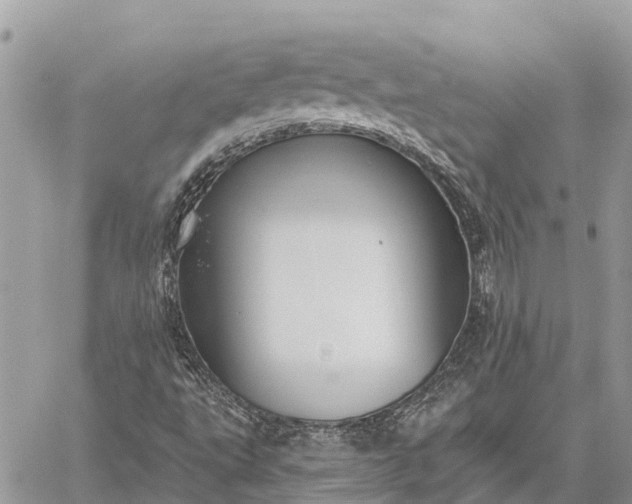 X0000059101495200510211619