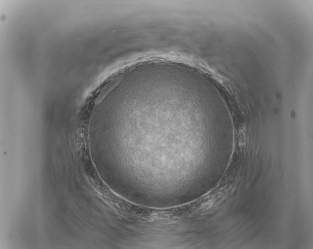 X0000059101496200510211619