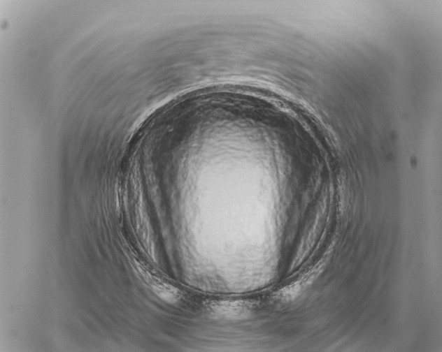 X0000059101497200510211619