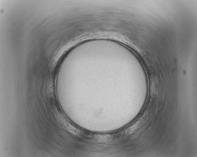 X0000059101498200510211619