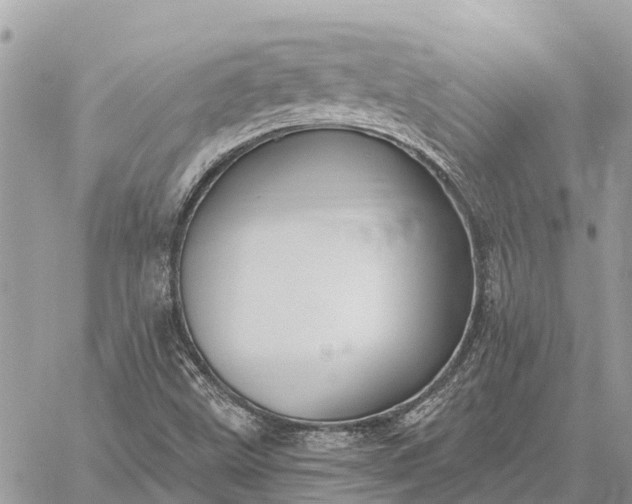 X0000059101499200510211619