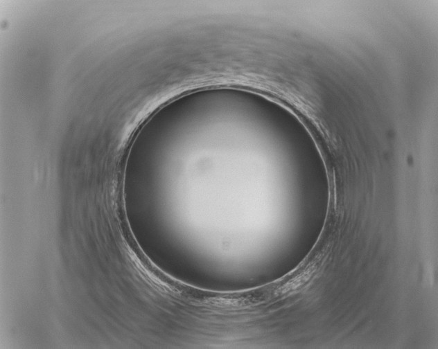 X0000059101500200510211619