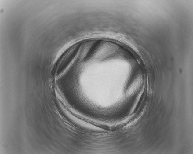 X0000059101501200510211619