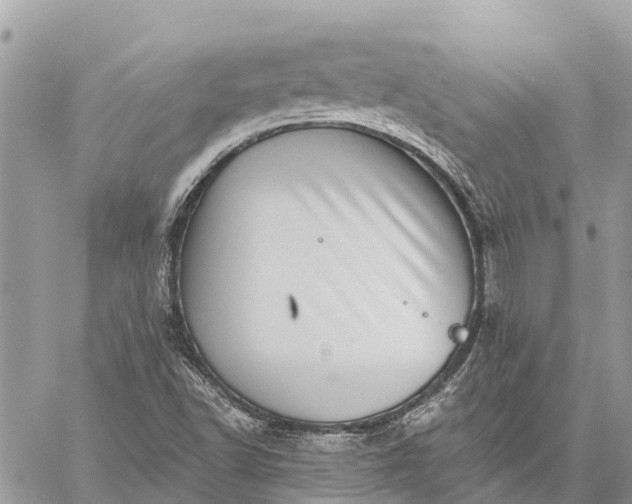 X0000059101502200510211619