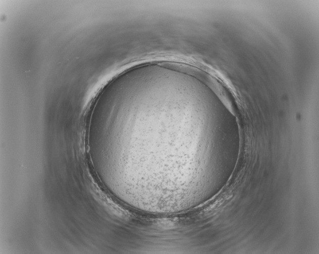 X0000059101504200510211619